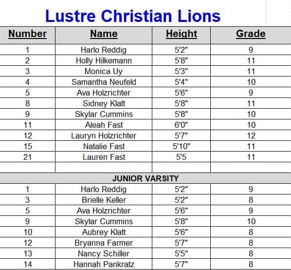 VB-Roster-2026